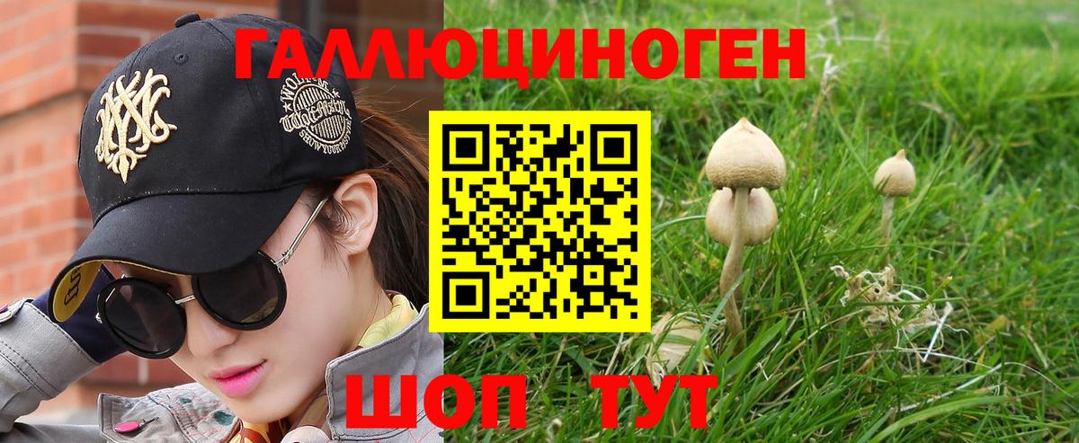 Павловский Посад  Галлюциногенные грибы мицелий  Вход с VPN 